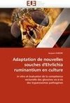 Adaptation de nouvelles souches d'Ehrlichia ruminantium en culture