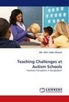 Teaching Challenges at Autism Schools