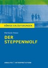 Textanalyse und Interpretation zu Hermann Hesse. Der Steppenwolf