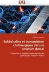 Enképhaline et transmission cholinergique dans le striatum dorsal
