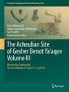 The Acheulian Site of Gesher Benot Ya'aqov Volume III