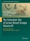 The Acheulian Site of Gesher Benot  Ya'aqov  Volume III