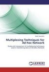 Multiplexing Techniques for Ad hoc Network