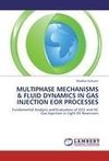 MULTIPHASE MECHANISMS & FLUID DYNAMICS IN GAS INJECTION EOR PROCESSES