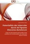Potentialités des tubercules durcis de l'igname Dioscorea dumetorum