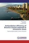 Antioxidative efficiency of Brassica Juncea exposed to chromium stress