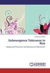 Submergence Tolerance in Rice