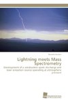 Lightning meets Mass Spectrometry