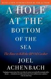 Hole at the Bottom of the Sea