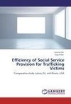 Efficiency of Social Service Provision for Trafficking Victims