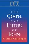 Interpreting Biblical Texts Series - The Gospel and Letters of John