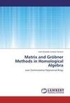 Matrix and Gröbner Methods in Homological Algebra