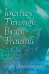 Journey Through Brain Trauma