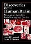 Discoveries in the Human Brain