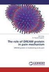 The role of DREAM protein in pain mechanism