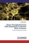 Tissue Transglutaminase (tTG) Expression in Human Brain Tumours