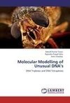 Molecular Modelling of Unusual DNA's