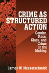 Messerschmidt, J: Crime as Structured Action