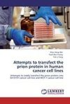 Attempts to transfect the prion protein in human cancer cell lines