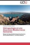 Hidrogeología en una Depresión Mediterránea Semiárida