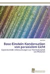 Bose-Einstein-Kondensation von paraxialem Licht