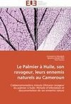 Le Palmier à Huile, son ravageur, leurs ennemis naturels au Cameroun