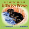 The Adventures of Little Boy Brown