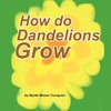 How do Dandelions Grow