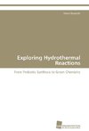 Exploring Hydrothermal Reactions