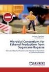 Microbial Consortium for Ethanol Production from Sugarcane Bagasse