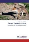 Genus Vulpes in Egypt