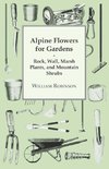 Alpine Flowers For Gardens - Rock, Wall, Marsh Plants, And Mountain Shrubs
