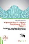 Expérience de la Gomme Quantique à Choix Retardé