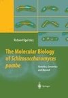 The Molecular Biology of Schizosaccharomyces pombe