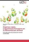 Cajanus cajan, Leguminosa  Forrajera en la Alimentación Animal