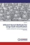 Efficient Kernel Methods For Large Scale Classification