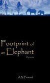 Footprint of an Elephant
