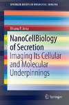 NanoCellBiology of Secretion