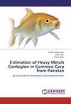 Estimation of Heavy Metals Contagion in Common Carp from Pakistan