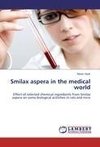 Smilax aspera in the medical world
