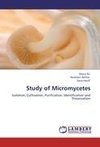 Study of Micromycetes