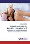 Safe Motherhood in Zambia: whats known?
