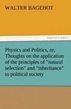 Physics and Politics, or, Thoughts on the application of the principles of 