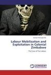 Labour Mobilization and Exploitation in Colonial Zimbabwe
