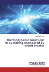Thermodynamic conditions in quenching chamber of LV circuit breaker