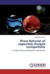 Phase Behavior of oppositely charged nanoparticles