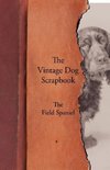 The Vintage Dog Scrapbook - The Field Spaniel
