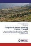 Indigenous Stone Bunding (Kab)in Ethiopia