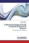 A Phenomenological Study of Quark Structure of Baryons