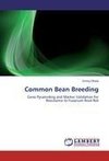 Common Bean Breeding
